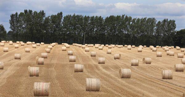  Despite the summer drought, there is plenty of straw around this year and it is all of excellent quality. File Picture: Eamonn Farrell/RollingNews.ie